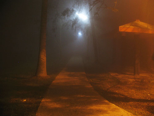 Foggy, IIM Calcutta Foggy, IIM Calcutta